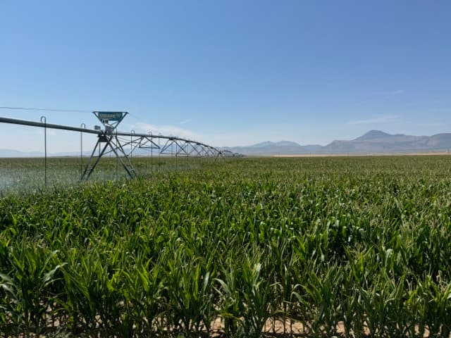 Agricultural property photo